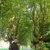 Noord-Holland chat
