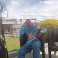 mariot